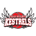 TEAM SOLENT KESTRELS Team Logo